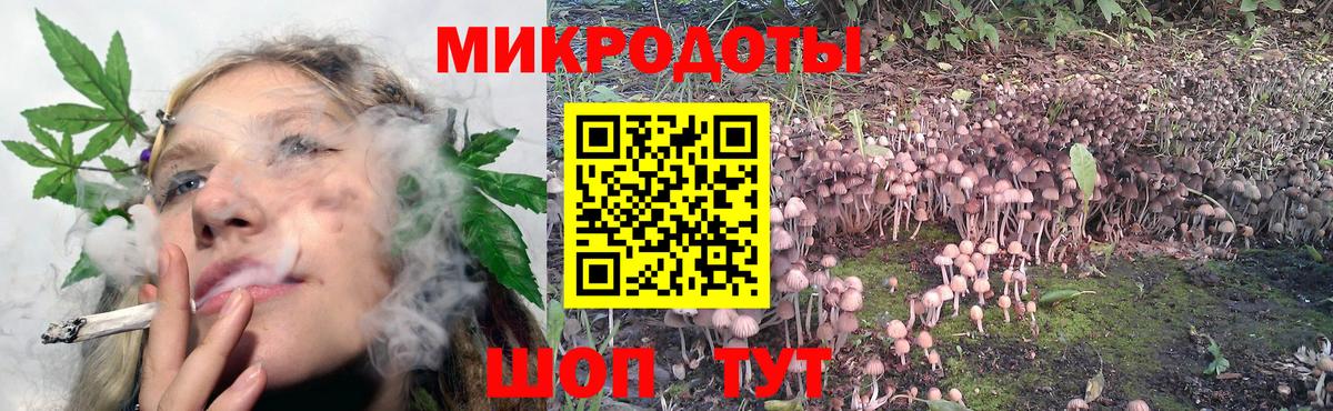 Семёнов  Галлюциногенные грибы мицелий  Вход с VPN  наркота  Псилоцибиновые грибы мицелий 
